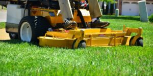 Professional lawn service cutting grass.